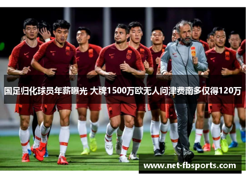 国足归化球员年薪曝光 大牌1500万欧无人问津费南多仅得120万 国足归化球员年薪曝光 大牌1500万欧无人问津费南多仅得120万