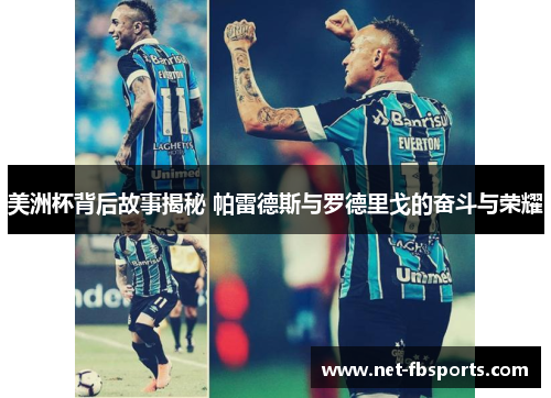美洲杯背后故事揭秘 帕雷德斯与罗德里戈的奋斗与荣耀 美洲杯背后故事揭秘 帕雷德斯与罗德里戈的奋斗与荣耀