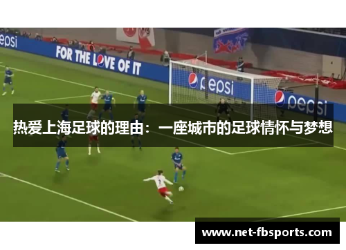 热爱上海足球的理由:一座城市的足球情怀与梦想 热爱上海足球的理由:一座城市的足球情怀与梦想