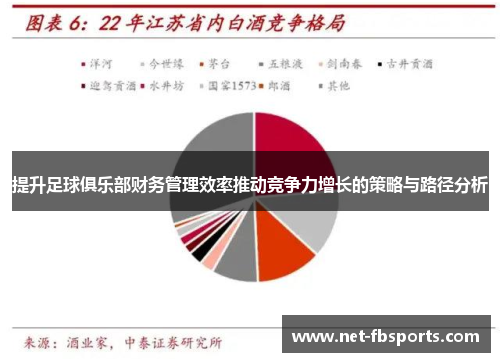 提升足球俱乐部财务管理效率推动竞争力增长的策略与路径分析 提升足球俱乐部财务管理效率推动竞争力增长的策略与路径分析