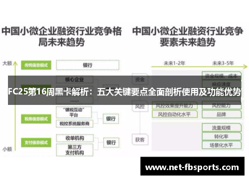 FC25第16周黑卡解析:五大关键要点全面剖析使用及功能优势 FC25第16周黑卡解析:五大关键要点全面剖析使用及功能优势