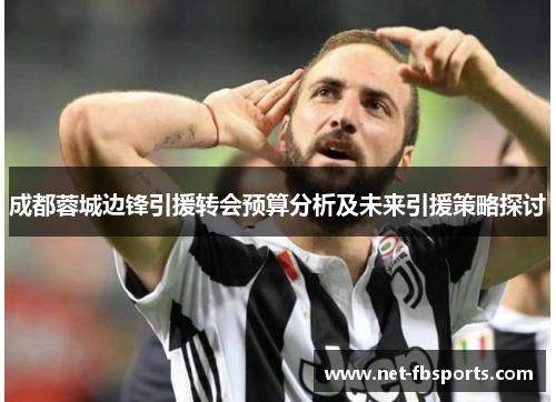 成都蓉城边锋引援转会预算分析及未来引援策略探讨 成都蓉城边锋引援转会预算分析及未来引援策略探讨