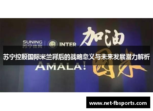 苏宁控股国际米兰背后的战略意义与未来发展潜力解析 苏宁控股国际米兰背后的战略意义与未来发展潜力解析