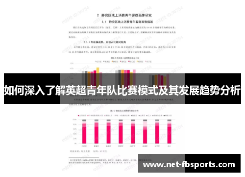 如何深入了解英超青年队比赛模式及其发展趋势分析 如何深入了解英超青年队比赛模式及其发展趋势分析