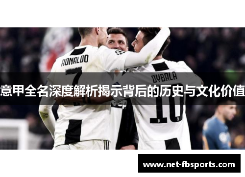 意甲全名深度解析揭示背后的历史与文化价值
