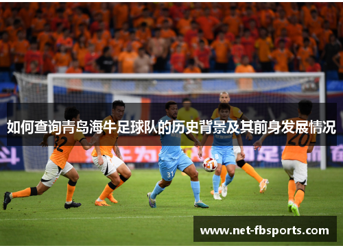 如何查询青岛海牛足球队的历史背景及其前身发展情况 如何查询青岛海牛足球队的历史背景及其前身发展情况