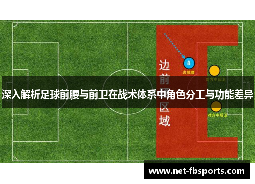 深入解析足球前腰与前卫在战术体系中角色分工与功能差异 深入解析足球前腰与前卫在战术体系中角色分工与功能差异