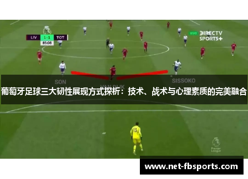 葡萄牙足球三大韧性展现方式探析:技术、战术与心理素质的完美融合 葡萄牙足球三大韧性展现方式探析:技术、战术与心理素质的完美融合