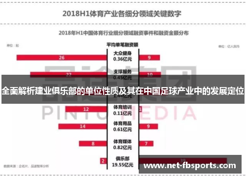 全面解析建业俱乐部的单位性质及其在中国足球产业中的发展定位