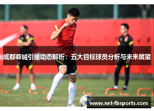 成都蓉城引援动态解析：五大目标球员分析与未来展望